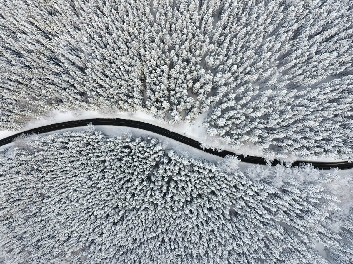 A Cold Road<p>© Tomáš Neuwirth</p>