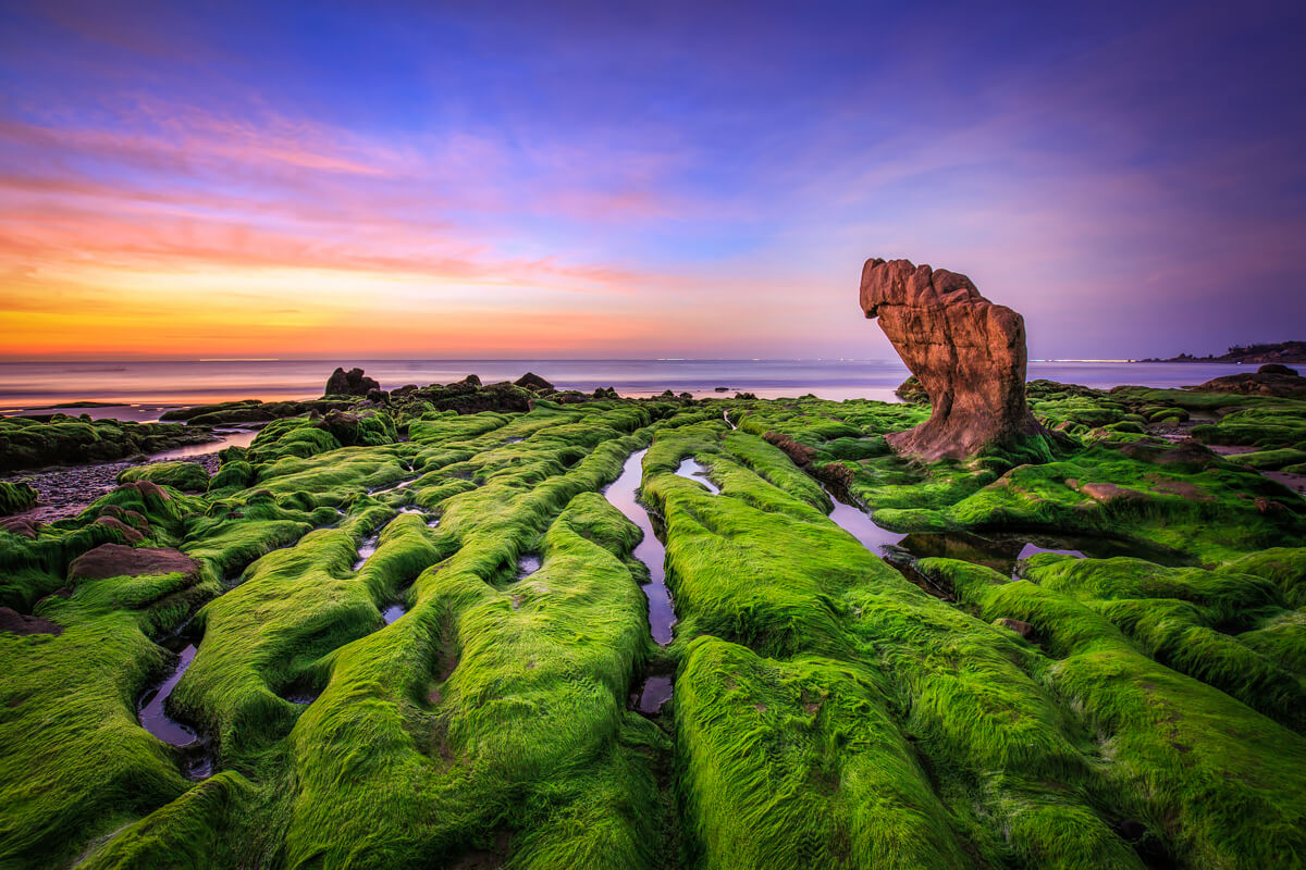 Moss on Rock in Co Thach<p>© Tuan Nguyen Tan</p>