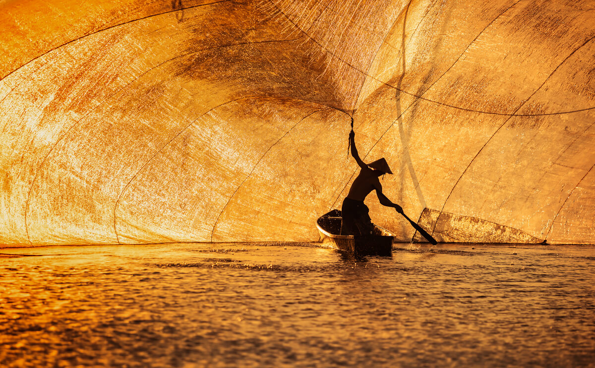 Visiting the Net in the Afternoon Sun<p>© Tuan Nguyen Tan</p>