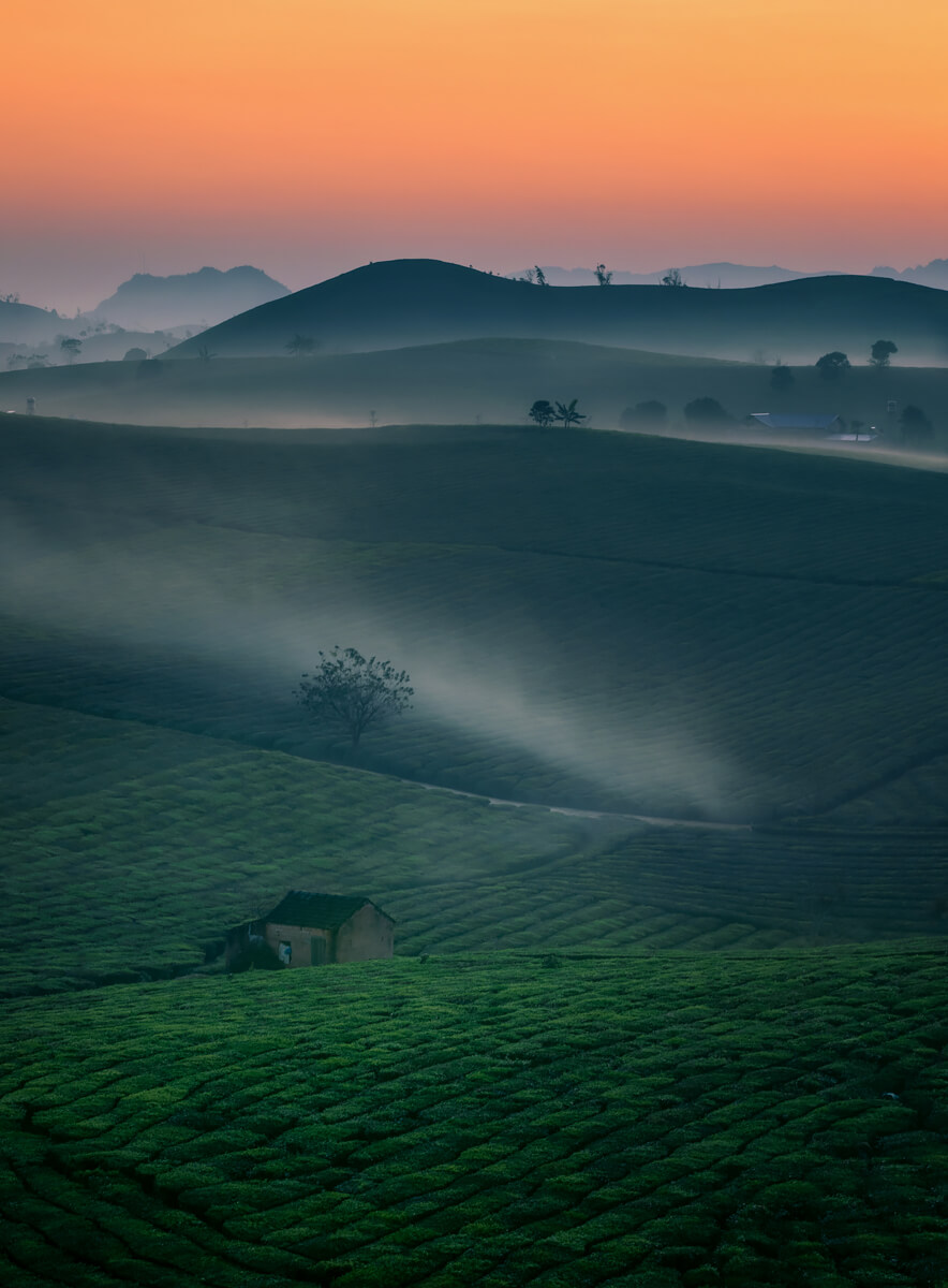 Dawn of Moc Chau Tea Hill<p>© Tuan Nguyen Tan</p>