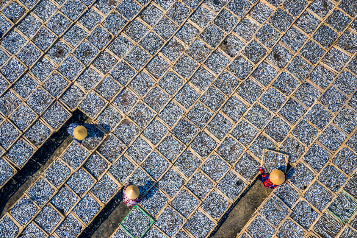 Drying Fish in Long Hai<p>© Tuan Nguyen Tan</p>