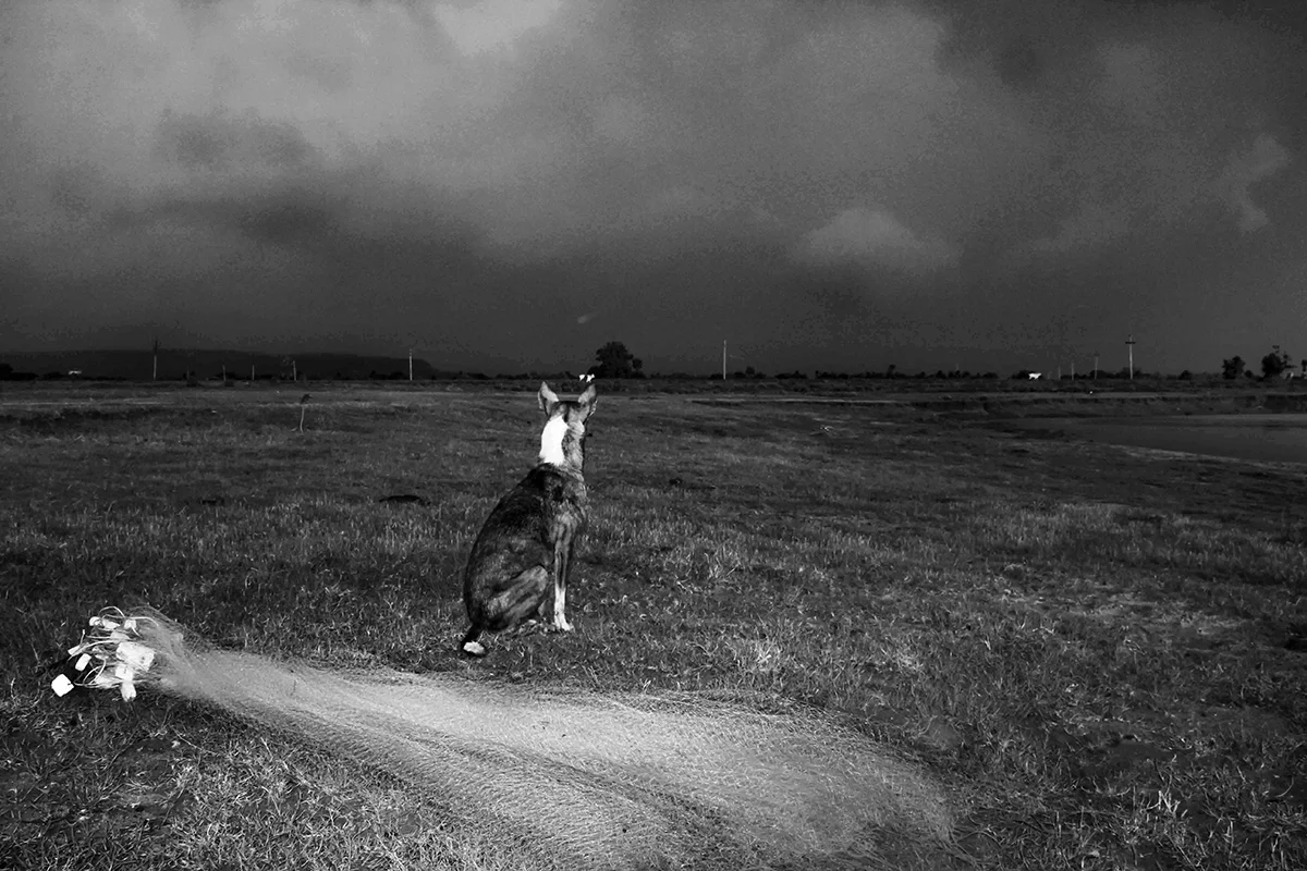 <p>© Vikas Nama</p>