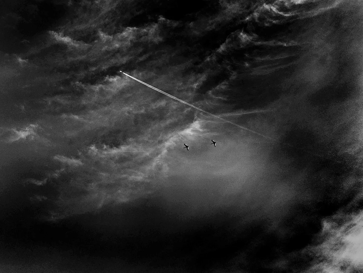 <p>© Vikas Nama</p>