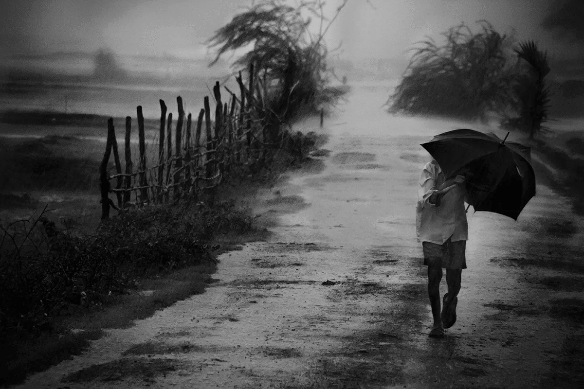 <p>© Vikas Nama</p>