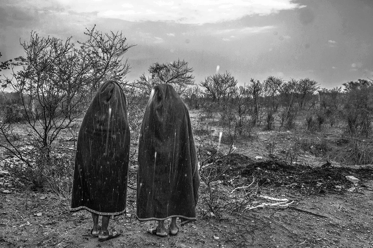 <p>© Vikas Nama</p>