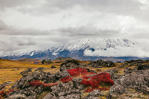 Tundra<p>© Alesya Osadchaya</p>