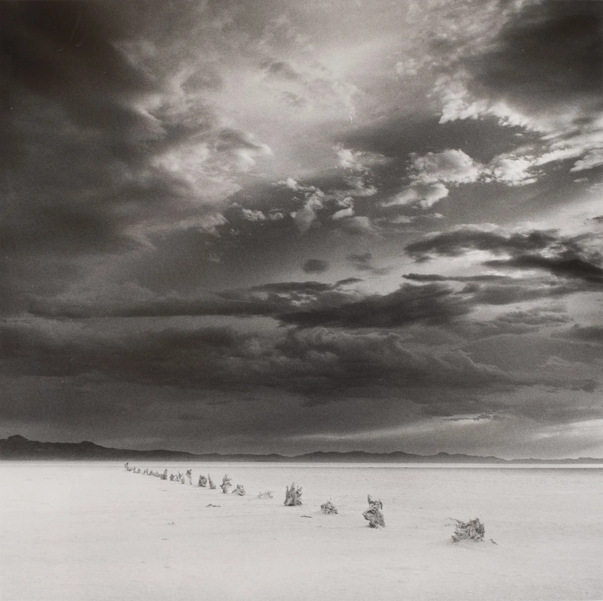 Threat of a Storm<p>© Bryce Olsen</p>