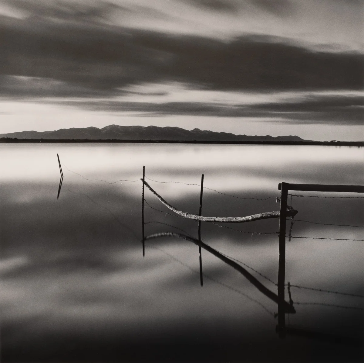 Barbed Fence, Stansbury Island<p>© Bryce Olsen</p>