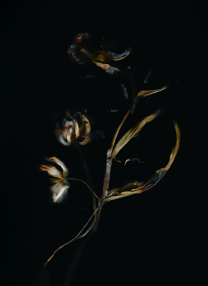 <p>© Oksana Omelchuk</p>
