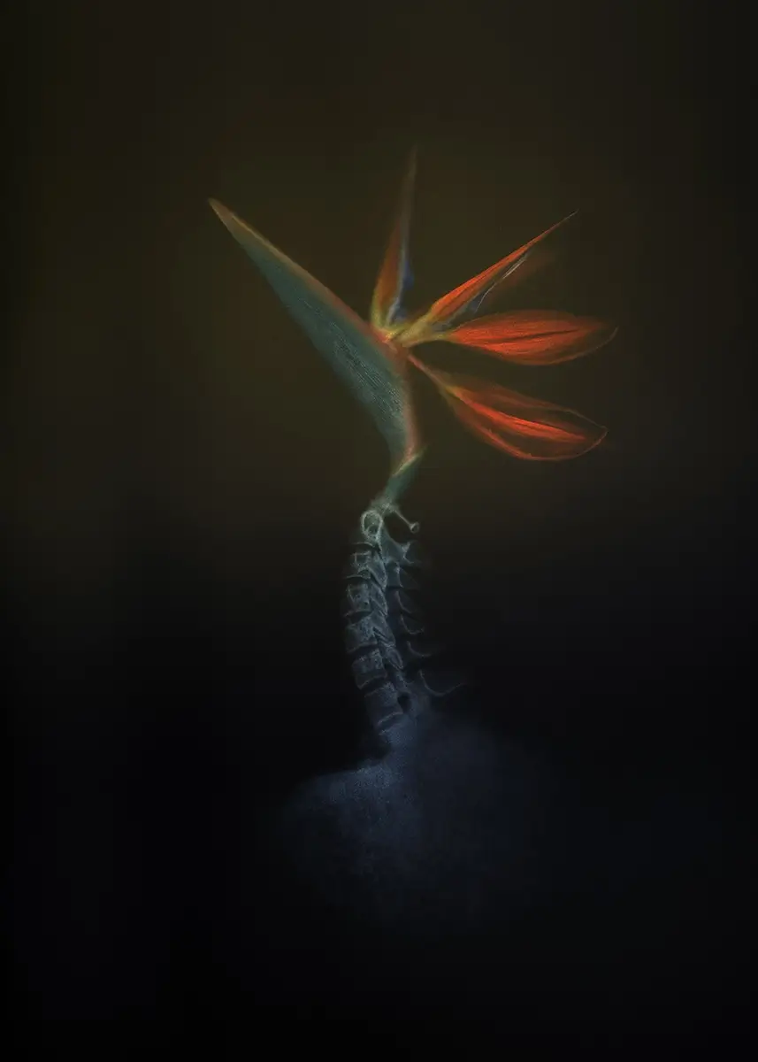 <p>© Oksana Omelchuk</p>