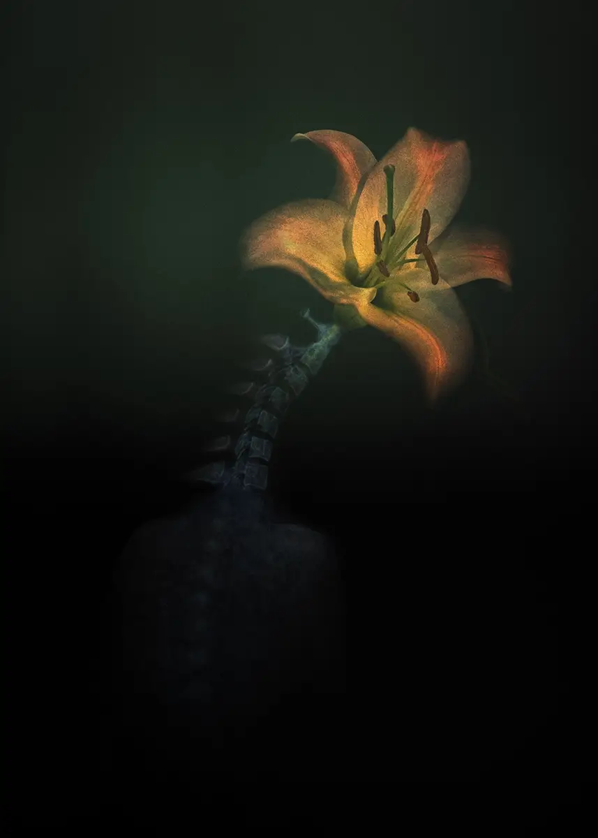 <p>© Oksana Omelchuk</p>