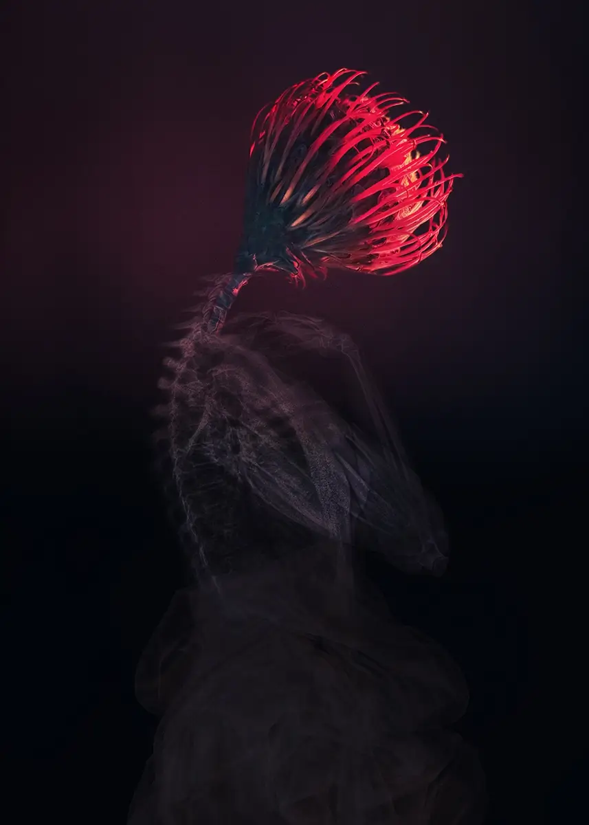<p>© Oksana Omelchuk</p>