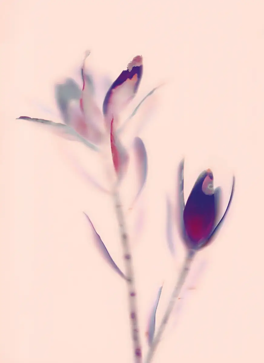 <p>© Oksana Omelchuk</p>