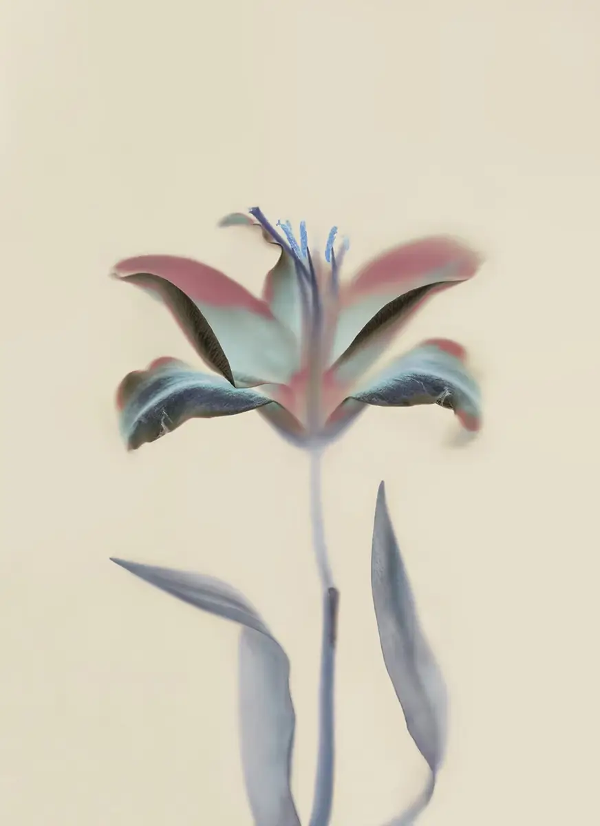 <p>© Oksana Omelchuk</p>