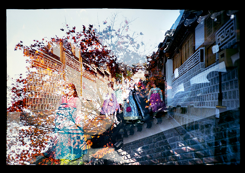 <p>© Alexandro Pelaez</p>