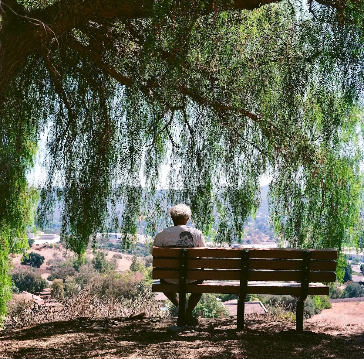Bench Man<p>© Alicia Paley</p>