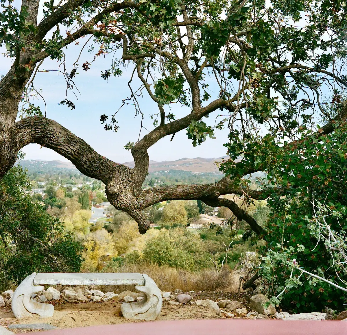 Bench<p>© Alicia Paley</p>