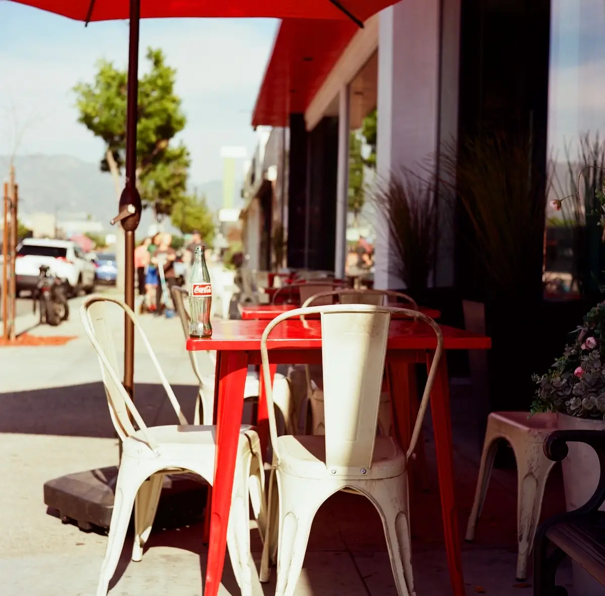 Coke<p>© Alicia Paley</p>