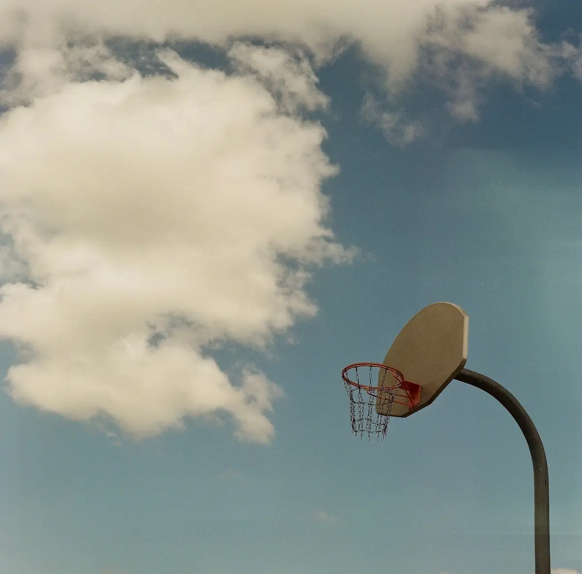 Hoop<p>© Alicia Paley</p>