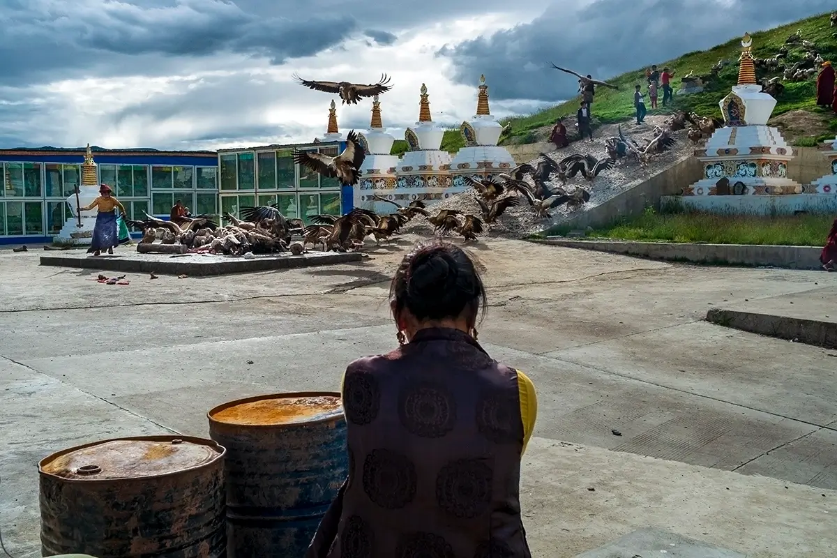 <p>&copy; Andrea Peruzzi</p>