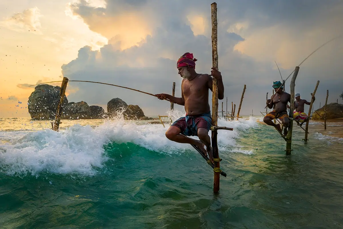 <p>&copy; Andrea Peruzzi</p>