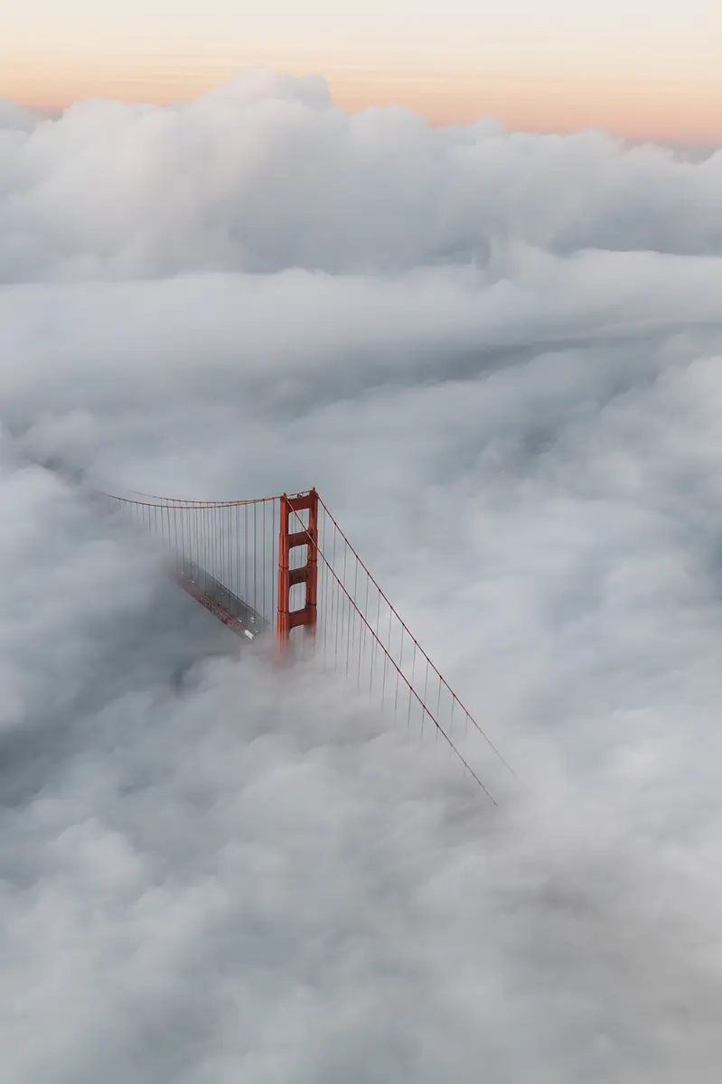 <p>&copy; Artem  Postelnikov</p>