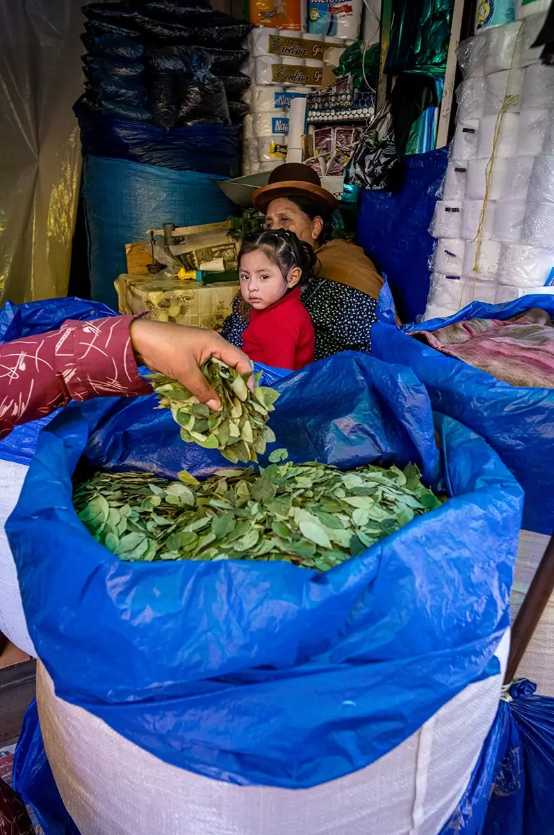 <p>&copy; Artem  Postelnikov</p>