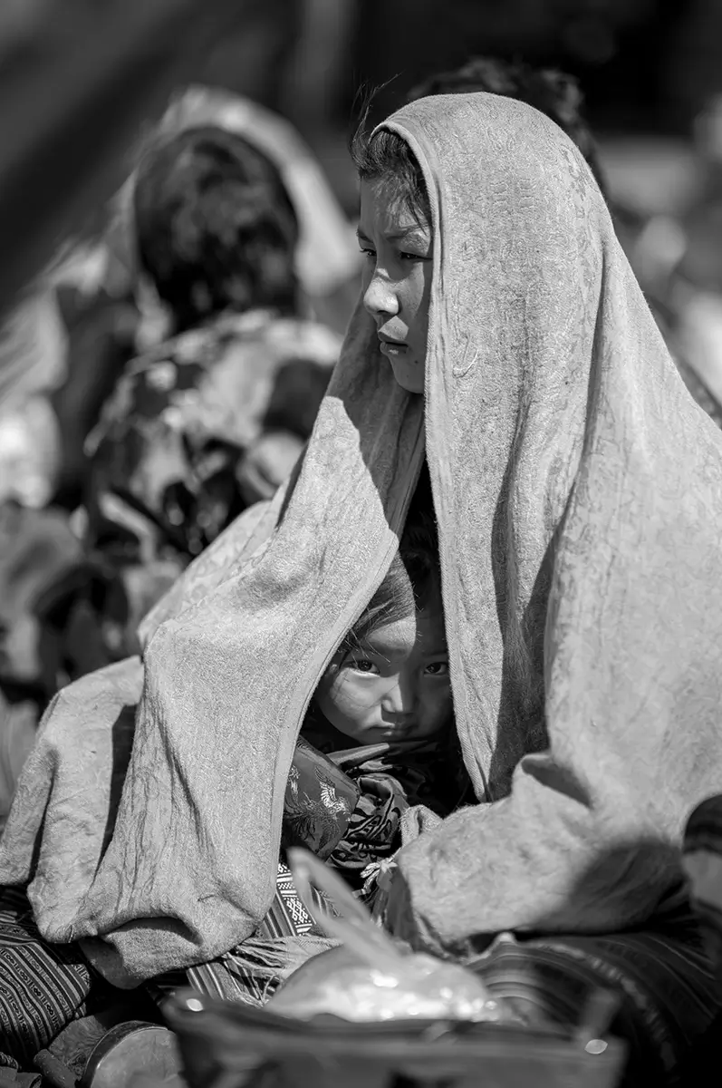 <p>&copy; Artem  Postelnikov</p>