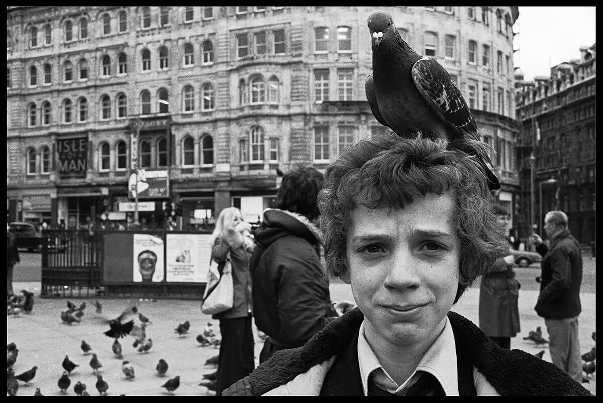 Nesting Trafalgar Square<p>© Ave Pildas</p>