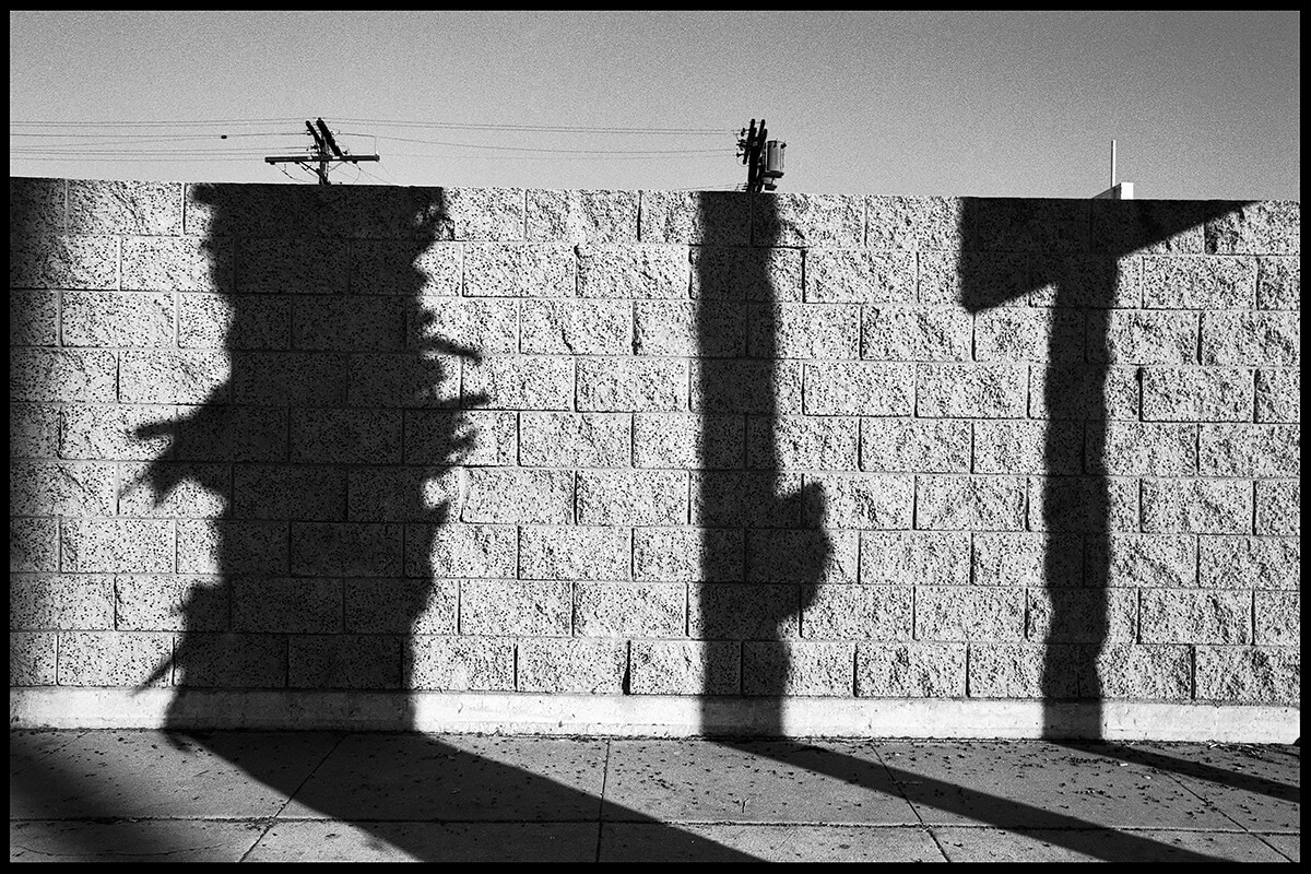 Palm, Pole, Post<p>© Ave Pildas</p>