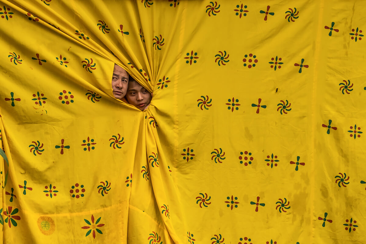 Yellow peep<p>© Enrico Pescantini</p>