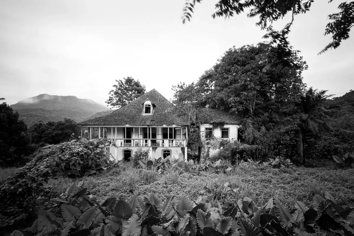 Porto Real<p>&copy; Filippo Poli</p>