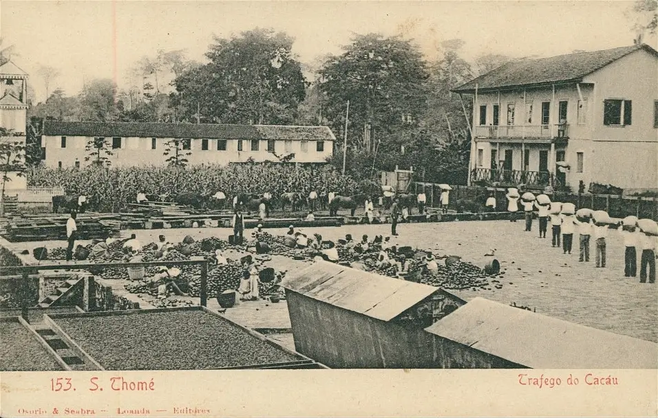 Trafego do Cacáu<p>&copy; Filippo Poli</p>