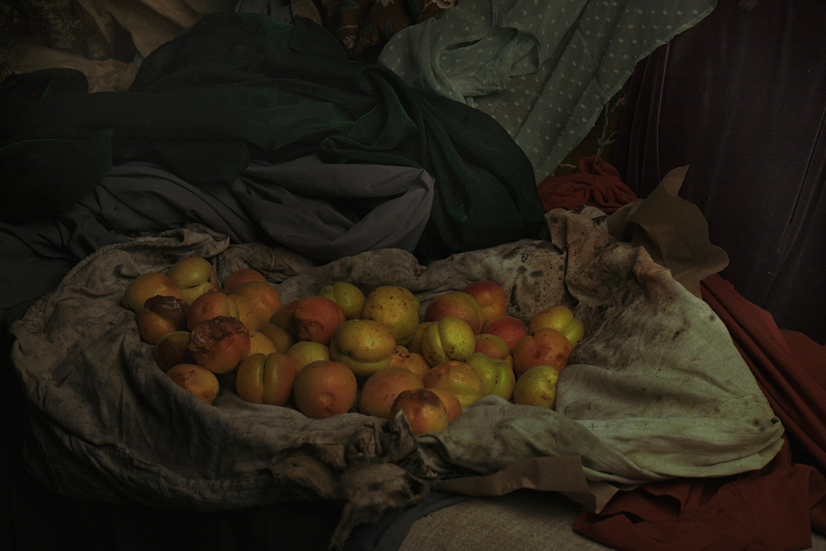 <p>© Inna Piskun</p>