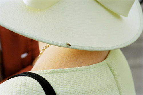 IRELAND. Galway. Galway Races. 1997<p>Courtesy Magnum Photos / © Martin Parr</p>