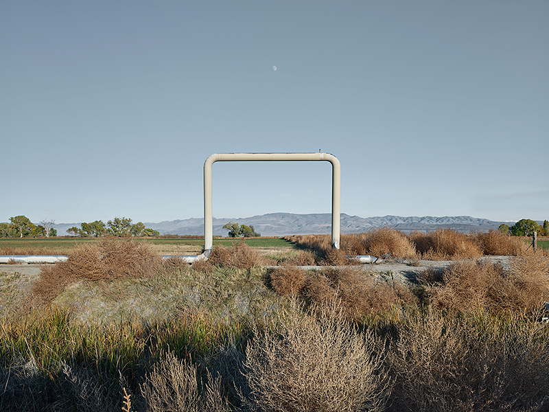<p>© Matthew Portch</p>