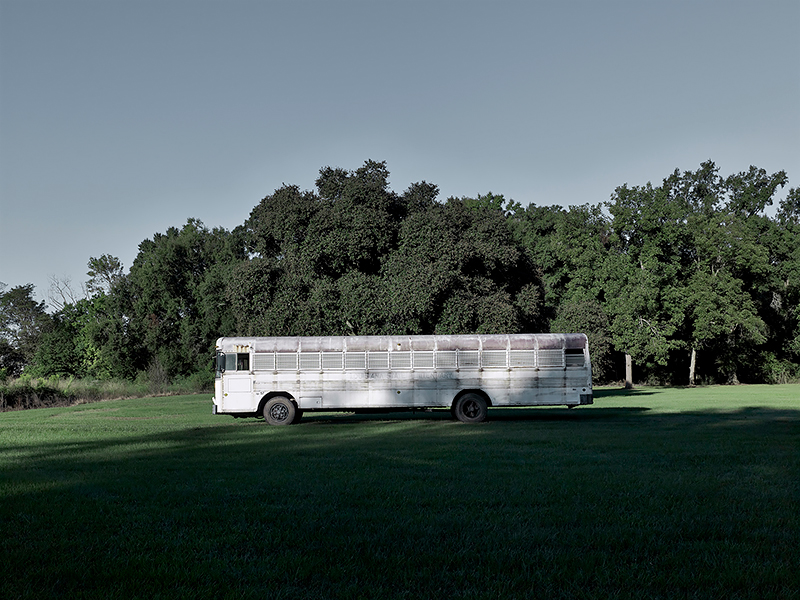 <p>© Matthew Portch</p>