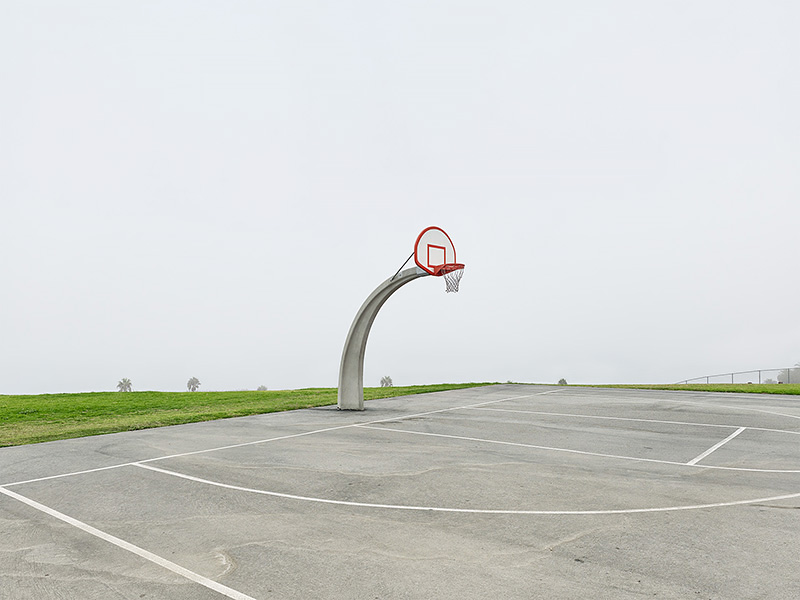 <p>© Matthew Portch</p>