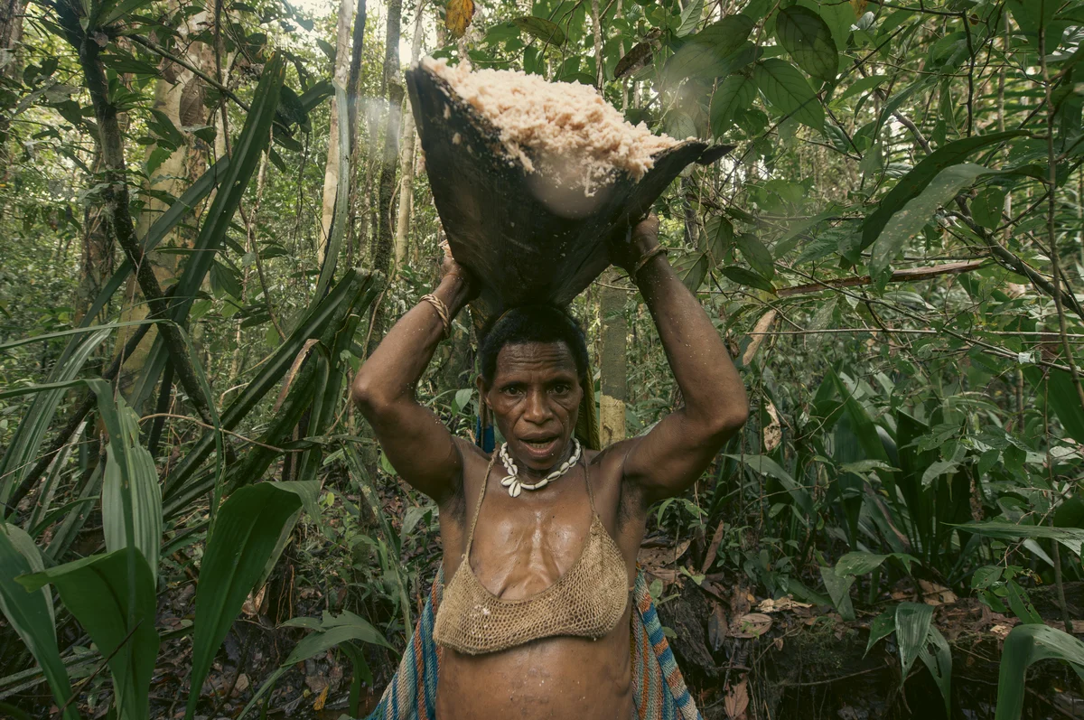 <p>&copy; Michel Pedrero</p>