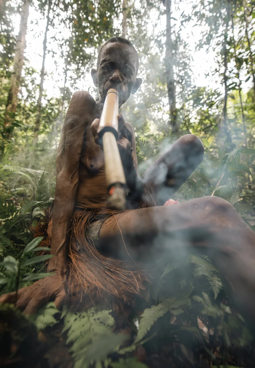 <p>&copy; Michel Pedrero</p>