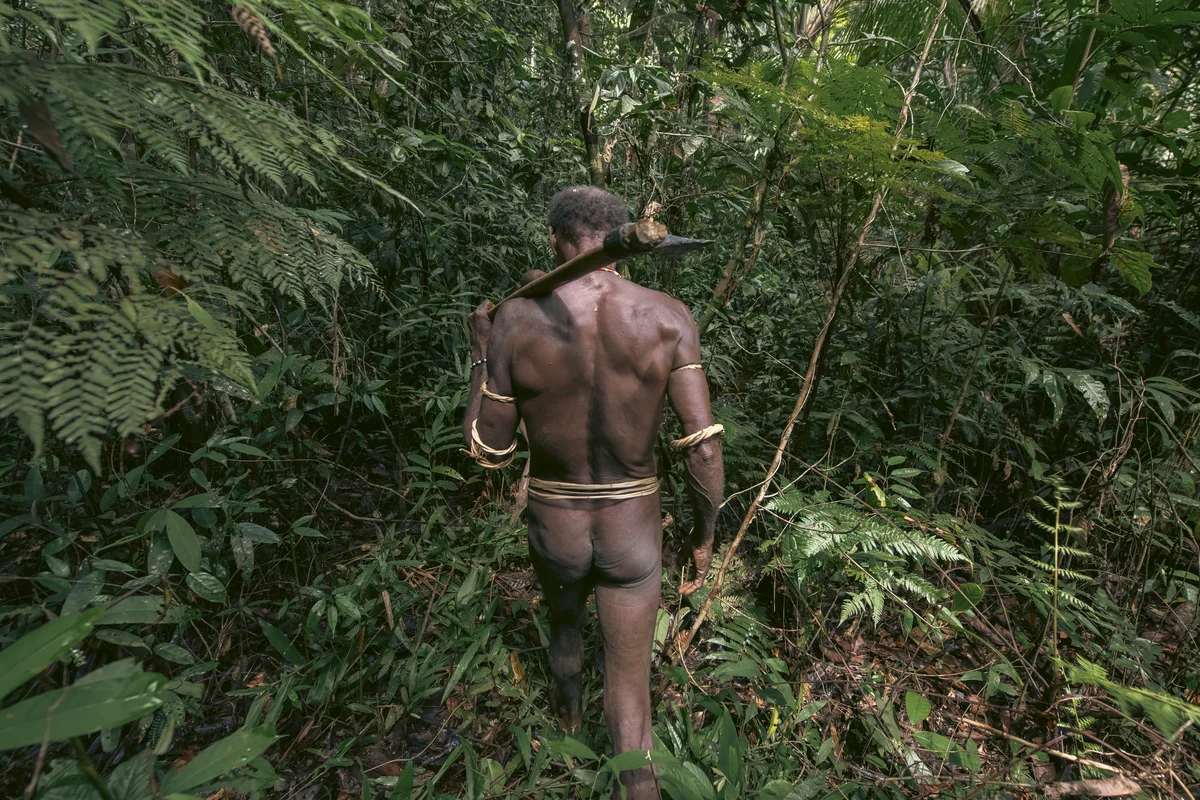 <p>&copy; Michel Pedrero</p>