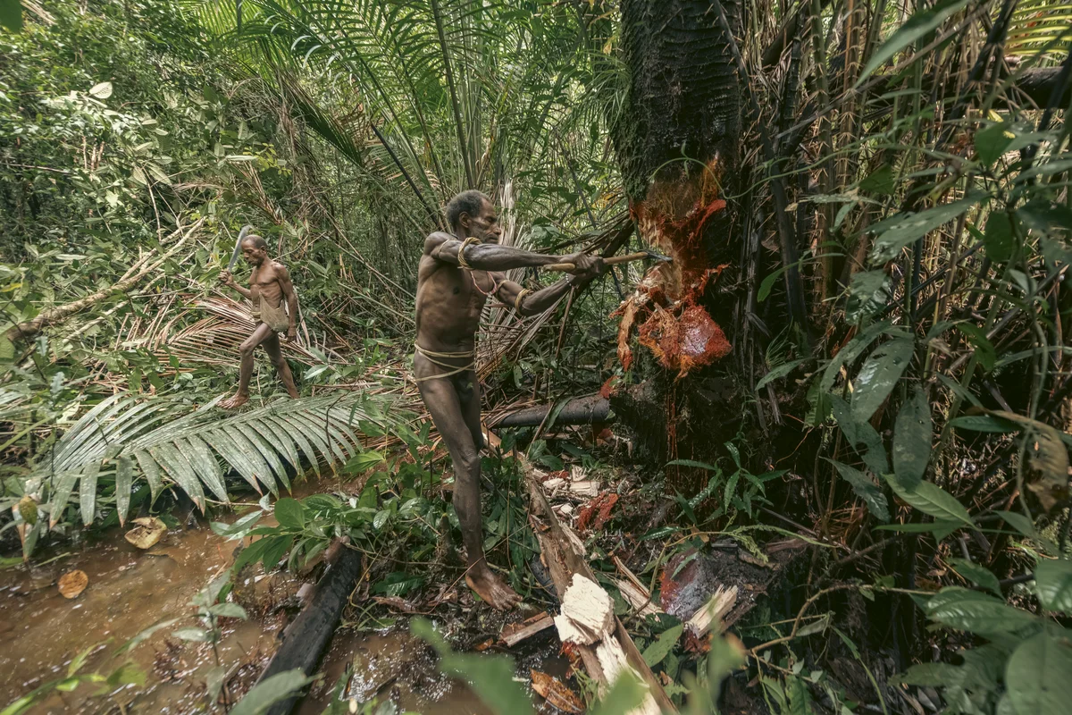 <p>&copy; Michel Pedrero</p>