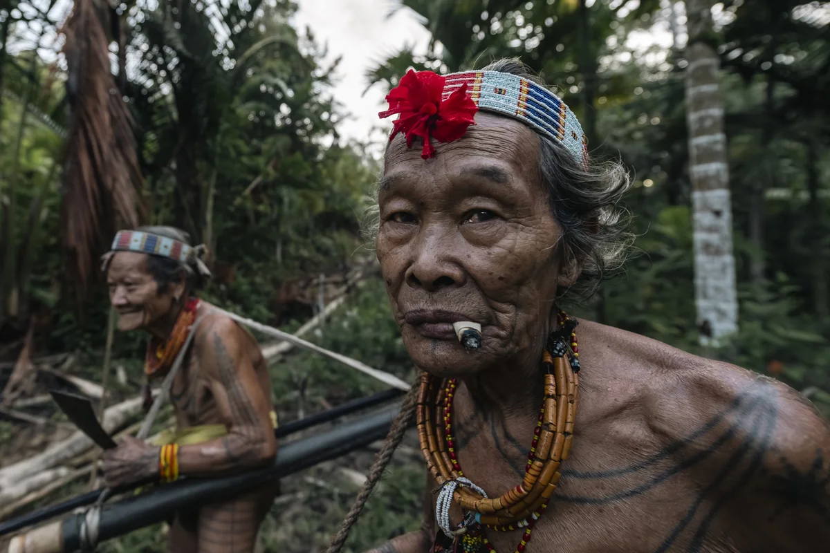 <p>&copy; Michel Pedrero</p>