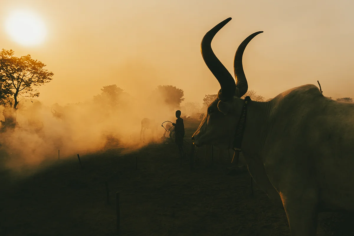 <p>&copy; Michel Pedrero</p>