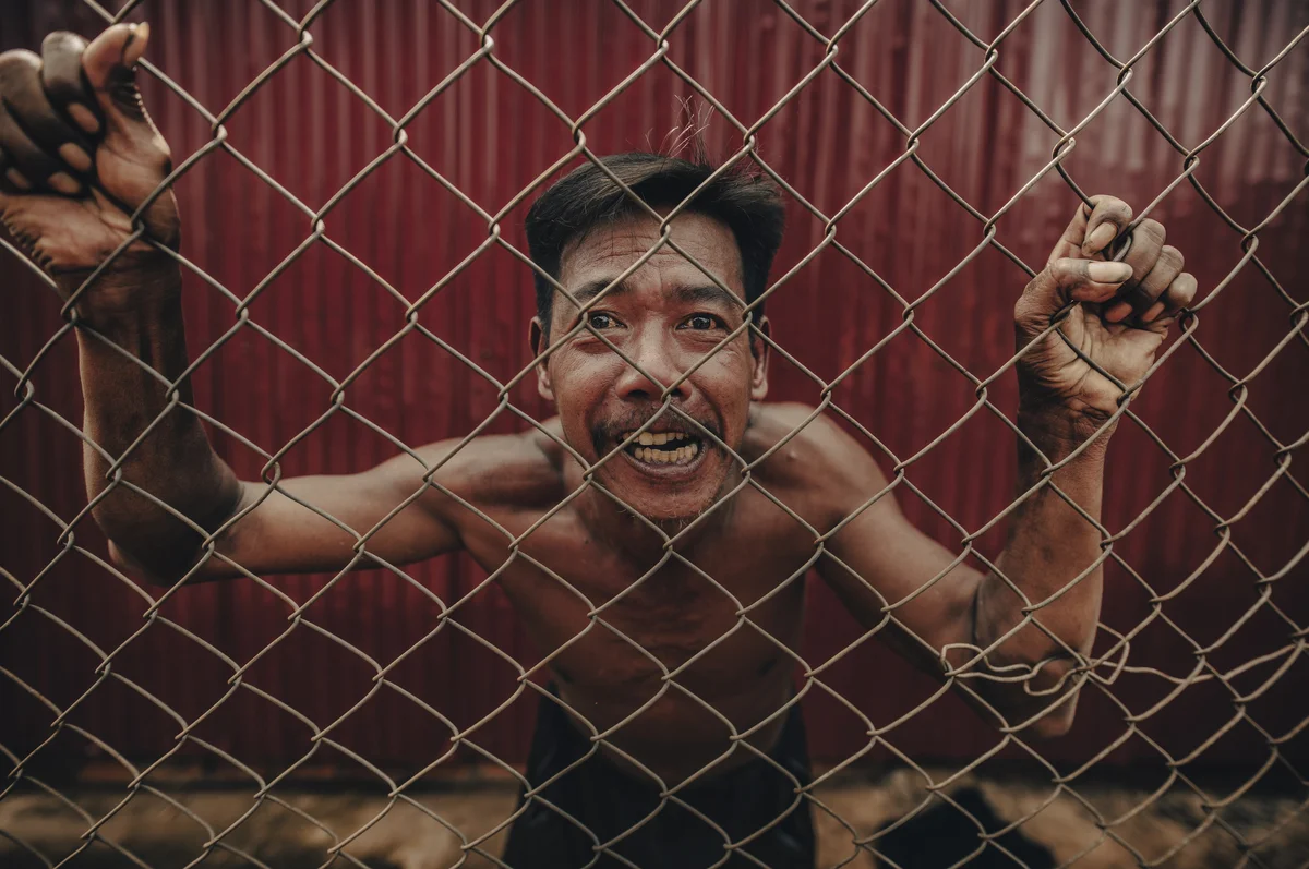 <p>&copy; Michel Pedrero</p>