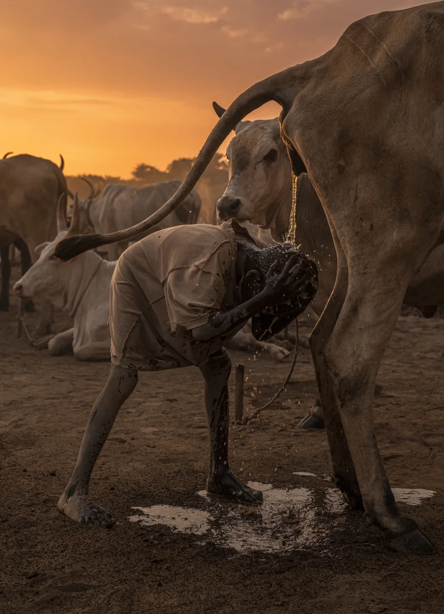 <p>&copy; Michel Pedrero</p>