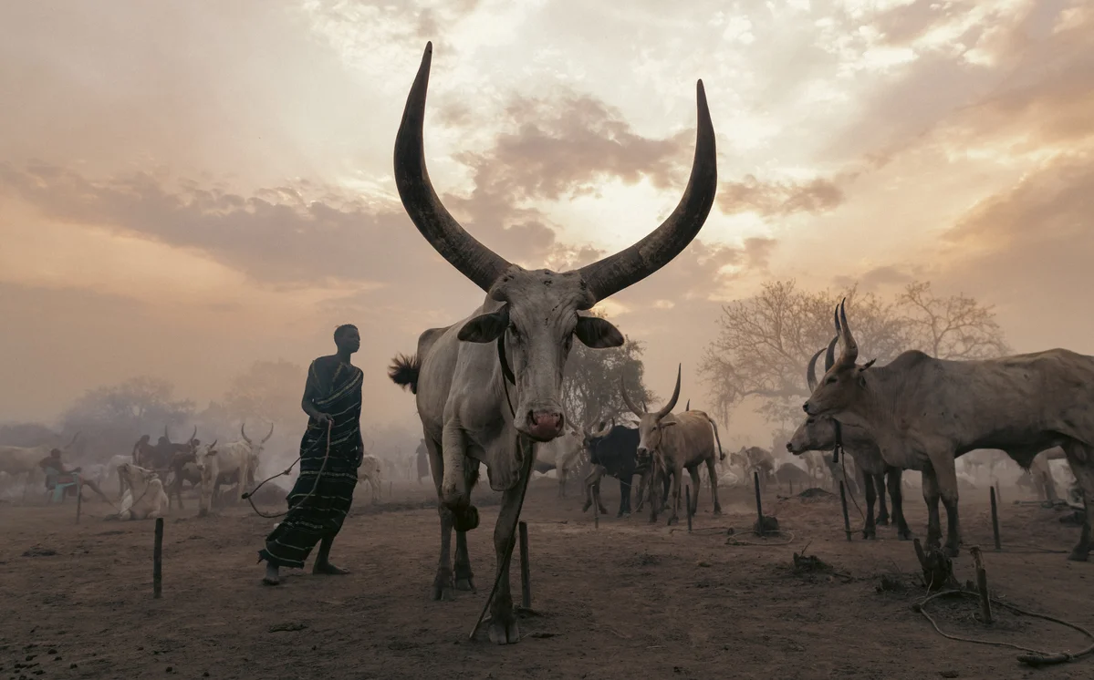 <p>&copy; Michel Pedrero</p>