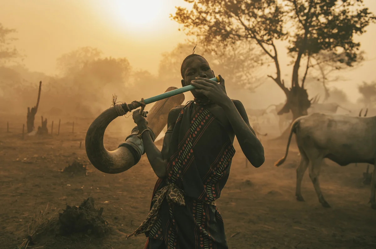 <p>&copy; Michel Pedrero</p>