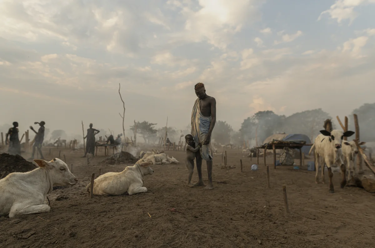 <p>&copy; Michel Pedrero</p>