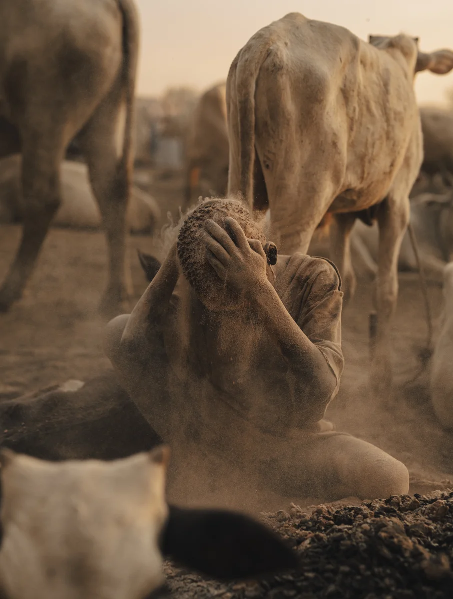 <p>&copy; Michel Pedrero</p>